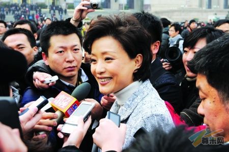 杨澜谈诈捐门:反思捐款方式春晚广告适可而止