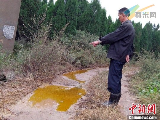 铬渣堆附近流出的黄水。赵敏 摄