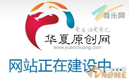 图：网站页面