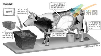脱霉流程图