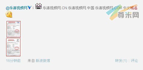  图：域名资料