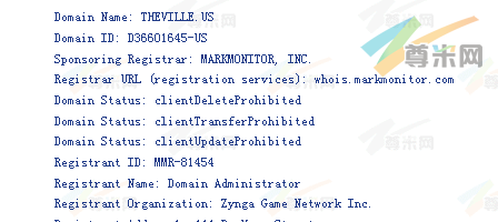 域名TheVille.us的Whois信息（截图）