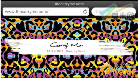 萧亚轩首个服装品牌官网启用域名thecarryme.com