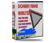 Domain Name Analyzer