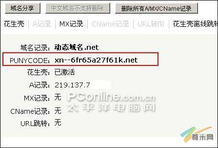 在ORAY的控制台查看域名的PUNYCODE