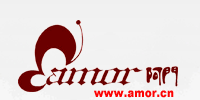 amor.cn